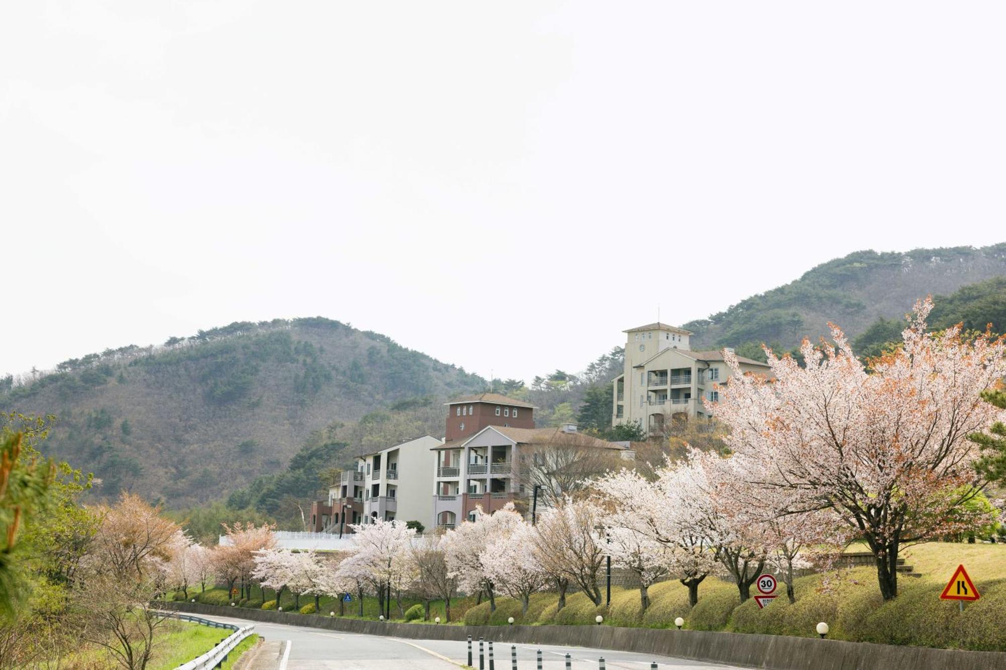Gyeongju Mauna Ocean Resort Extérieur photo