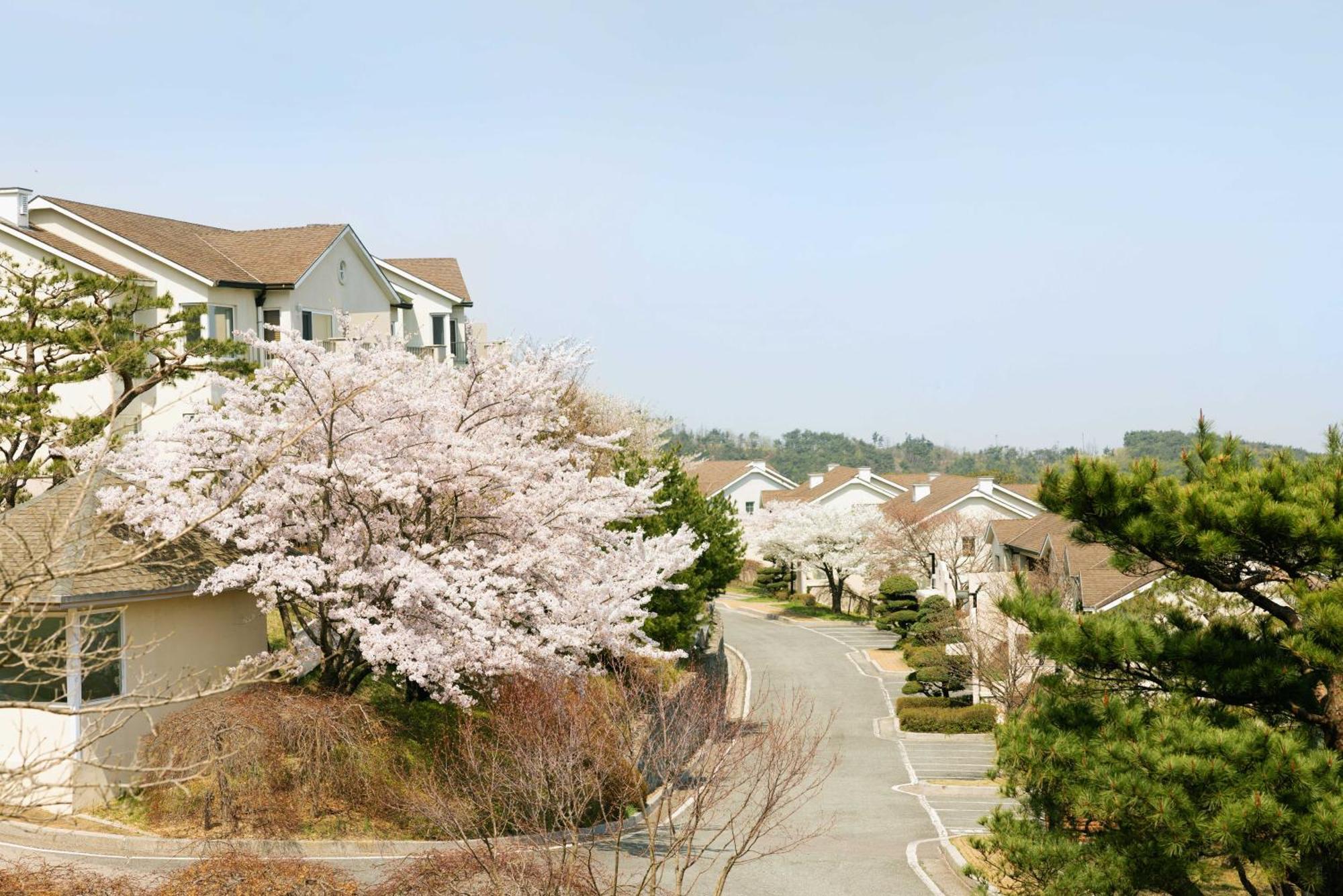 Gyeongju Mauna Ocean Resort Extérieur photo