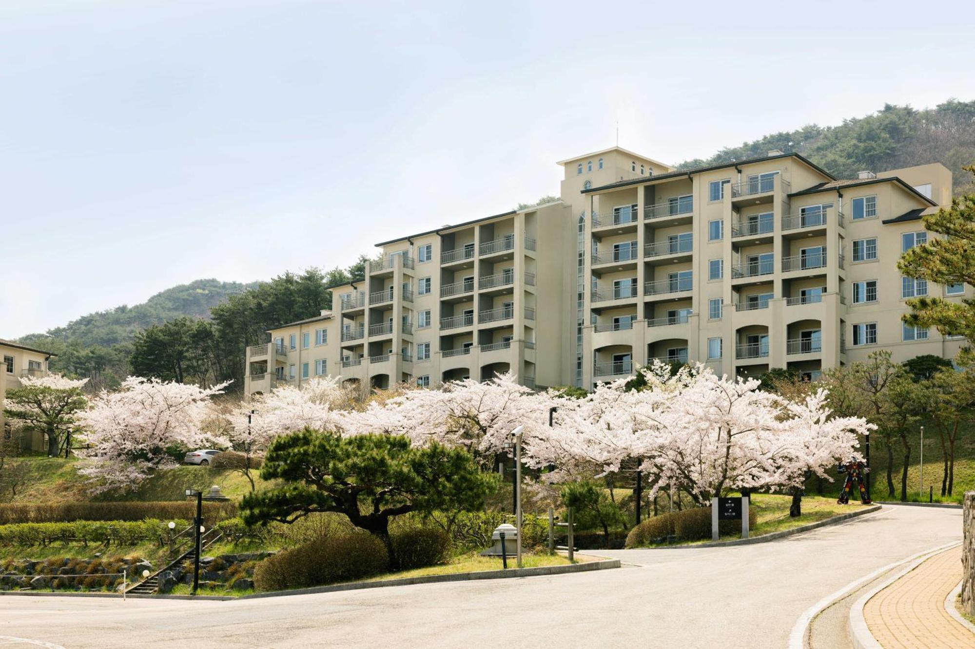 Gyeongju Mauna Ocean Resort Extérieur photo