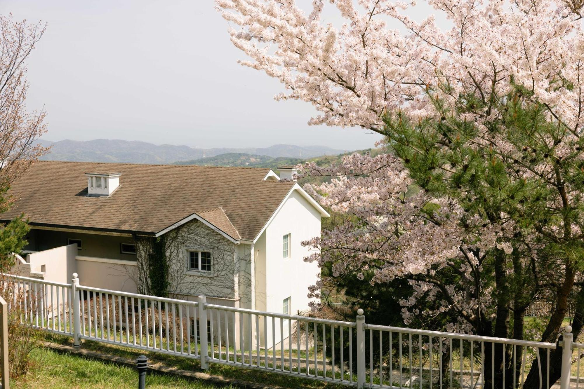 Gyeongju Mauna Ocean Resort Extérieur photo